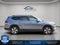 2025 Volkswagen Atlas SE 4Motion