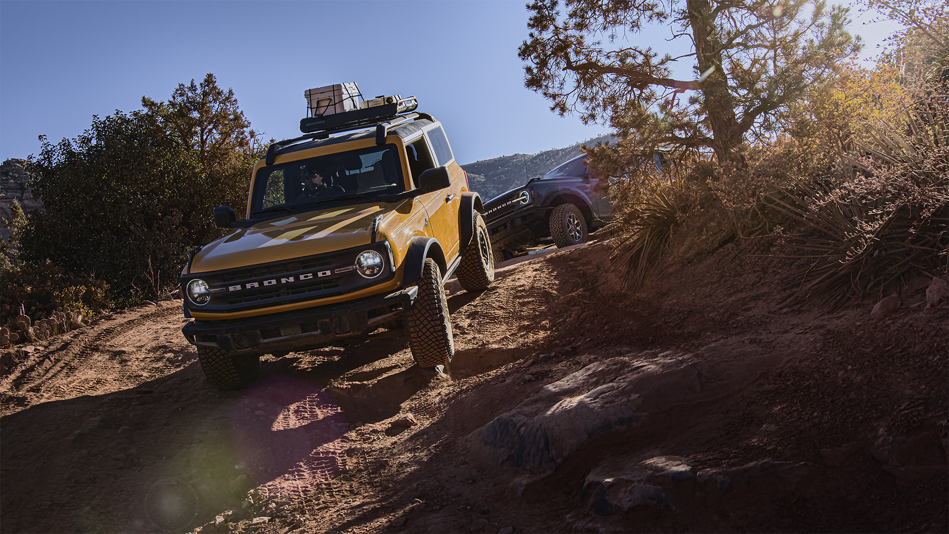/static/dealer-28966/motivatedSEO/2023_Ford_Bronco_yellow_and_blue_Bronco.png