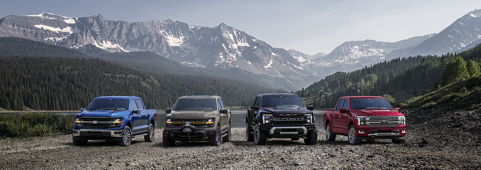 Four 2025 Ford F-150 pickup trucks